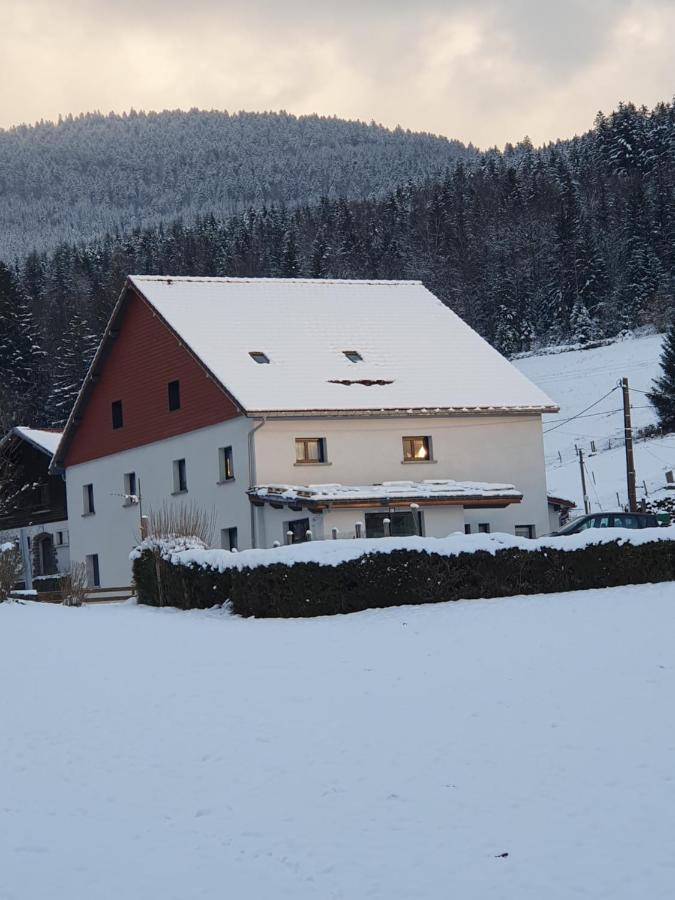 Appart Lievre 4 Etoiles Cornimont Exterior foto